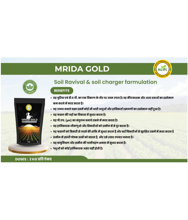 MRIDA GOLD