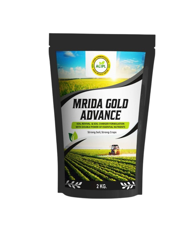 ADVANCE MRIDA GOLD